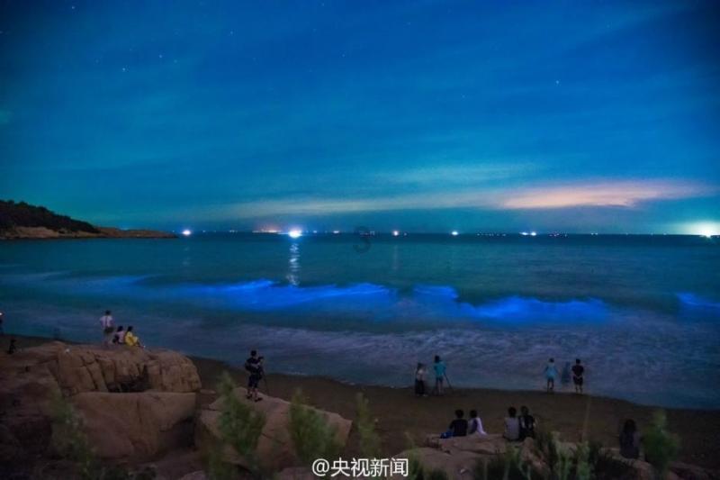 救援聪明的小女生