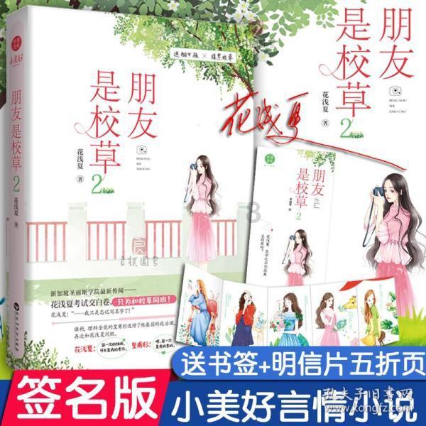 工业型钢制大水道散热器
