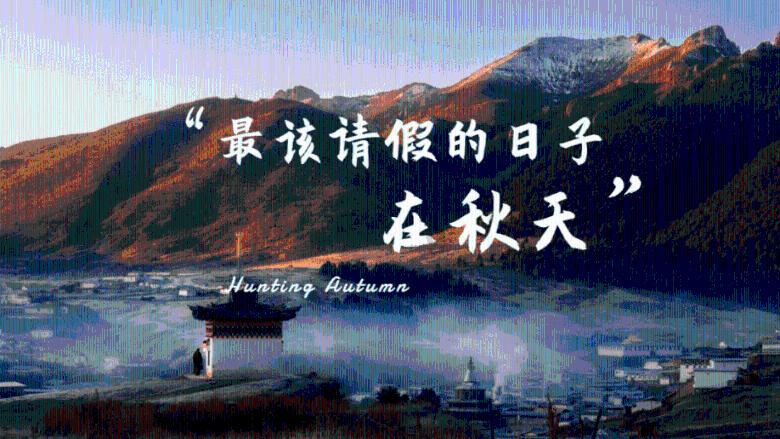 三亚近海发现剧毒僧帽水母?专家辟谣!
