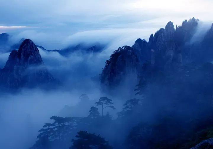 饥饿的松鼠救援