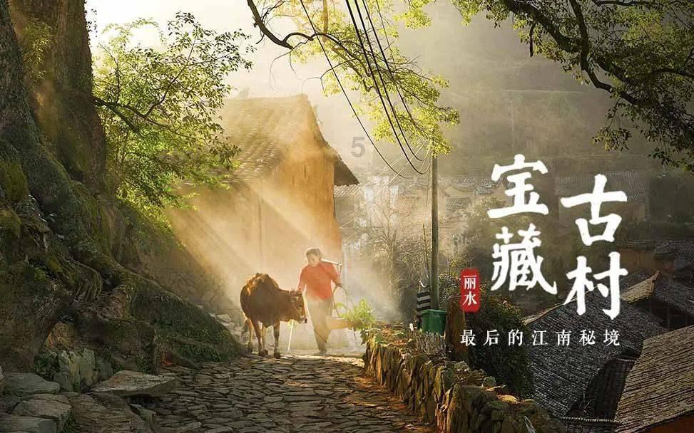 植物大战僵尸