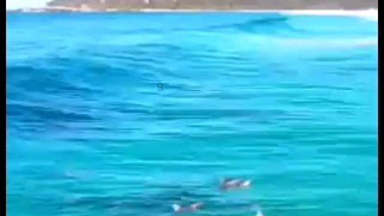 花瓶粉碎者