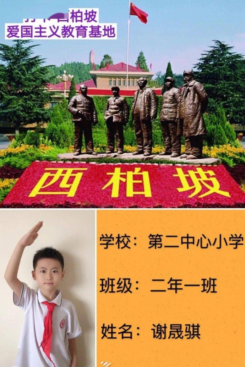 《幻兽帕鲁》爆火后 发行商已在国内注册多个商标